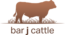 Bar J Cattle